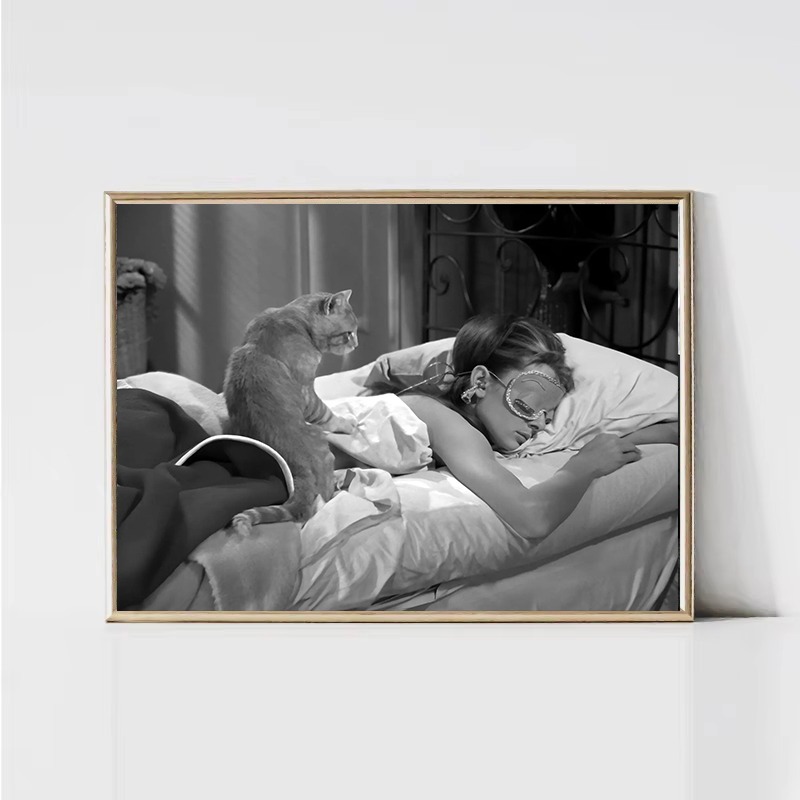 Zwart-wit klassieke filmscènes - Home Movie Bathroom Scene recensie en prijs